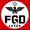 Professional-FGD
