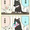 全佳琳历史