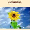 阳光