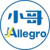 小哥Allegro-畅销书作者