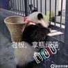 肥宅