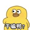 干嘛鸭