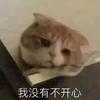 啊哈嘻嘻嘻