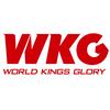 WKG综合格斗赛