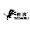 唐狮电锅炉