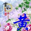 峡山鸿正电器老高