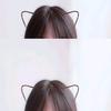 吴立