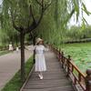 游泳的鱼