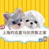 上海约克夏马尔济斯之家