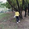 大头针@