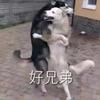 呼啦呼啦呼啦