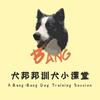 犬邦邦训犬师老蔡
