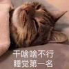 沛文沛语