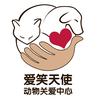 爱笑天使动物关爱中心