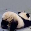 辰丶星