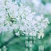 萧軍