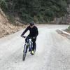 喜烘