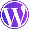 自己建网站👉WordPress教程