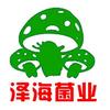 泽海菌业