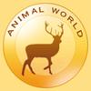 动物世界-抖音发布