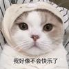 叮叮咚