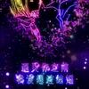 某某🍒