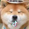 孙歌歌爱画画ㅤㅤㅤㅤㅤㅤㅤㅤㅤㅤㅤ广告X