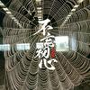 蛛网搜奇趣