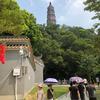 跃马扬鞭（吃丹修仙）