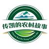 传凯的农村故事