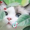 爱折纸的小女孩