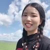 太阳树木河流