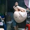 公正哥哥
