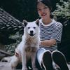 田园犬巡游记