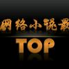 网络小说最TOP