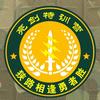 亮剑精彩呈现