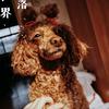 画画的小Aimee