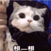 华Dee