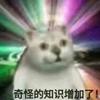 奇怪宝宝