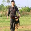 亿融标榜犬业
