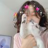 潇潇学姐