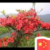 敏锐