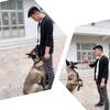 训犬师、健健宠物服务