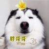 胖哥老原☞卫浴推荐官