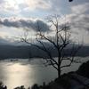 灯儿哩个浪