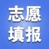 高考山东于老师