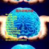 宋老师心理健康  儿童专注力训练