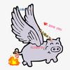 天上的小飞🐷