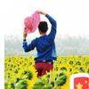 香姐