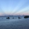 岁月无声